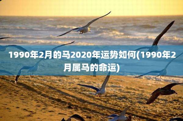 1990年2月的马2020年运势如何(1990年2月属马的命运)