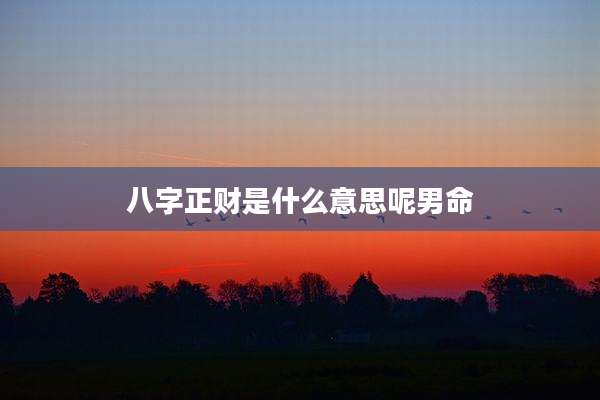 八字正财是什么意思呢男命