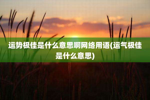 运势极佳是什么意思啊网络用语(运气极佳是什么意思)