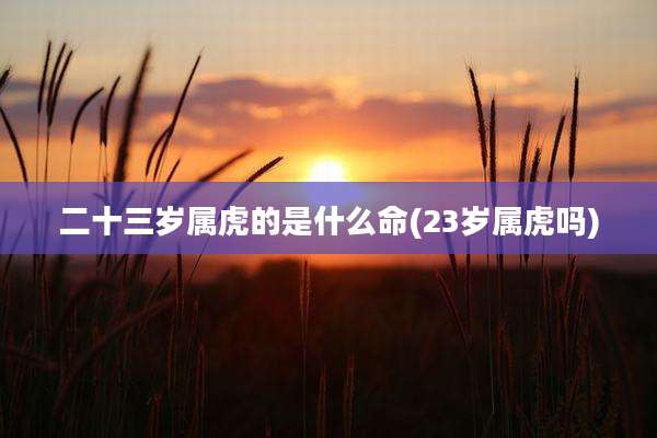 二十三岁属虎的是什么命(23岁属虎吗)