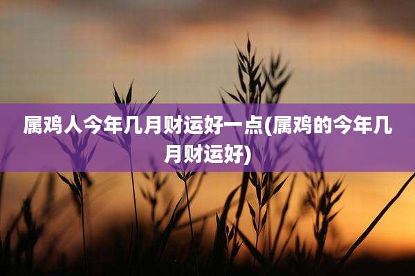 属鸡人今年几月财运好一点(属鸡的今年几月财运好)