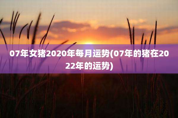 07年女猪2020年每月运势(07年的猪在2022年的运势)