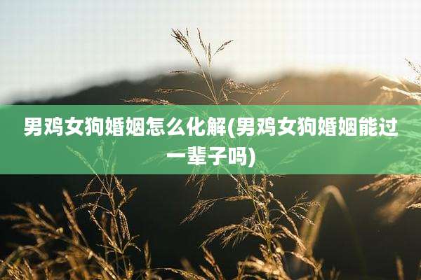 男鸡女狗婚姻怎么化解(男鸡女狗婚姻能过一辈子吗)