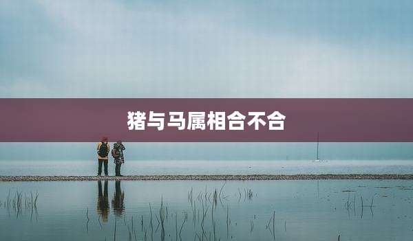 猪与马属相合不合