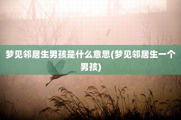 梦见邻居生男孩是什么意思(梦见邻居生一个男孩)