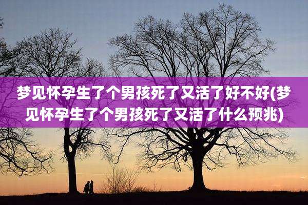 梦见怀孕生了个男孩死了又活了好不好(梦见怀孕生了个男孩死了又活了什么预兆)