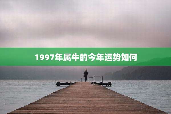 1997年属牛的今年运势如何