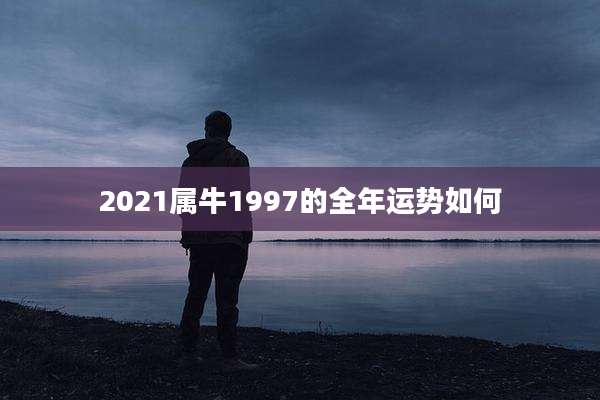 2021属牛1997的全年运势如何