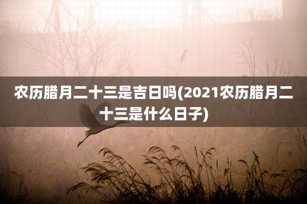 农历腊月二十三是吉日吗(2021农历腊月二十三是什么日子)