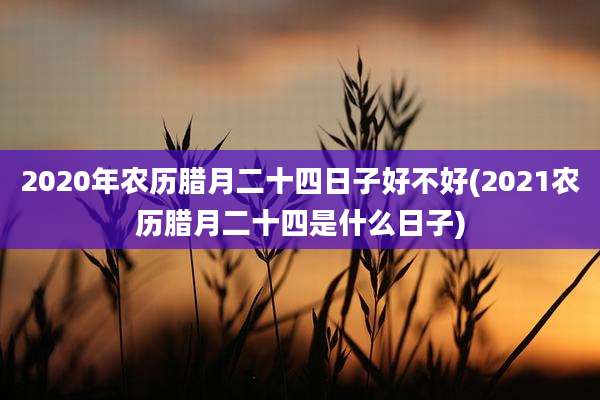 2020年农历腊月二十四日子好不好(2021农历腊月二十四是什么日子)