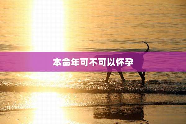 本命年可不可以怀孕