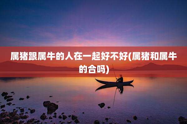 属猪跟属牛的人在一起好不好(属猪和属牛的合吗)