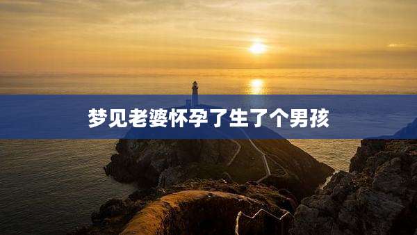 梦见老婆怀孕了生了个男孩