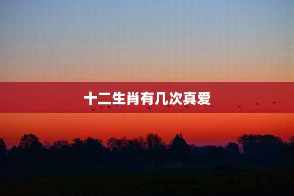 十二生肖有几次真爱