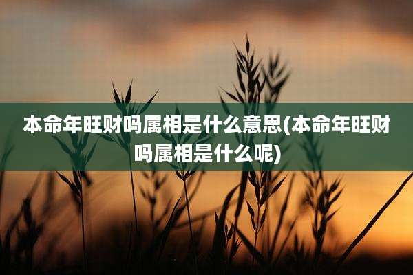 本命年旺财吗属相是什么意思(本命年旺财吗属相是什么呢)