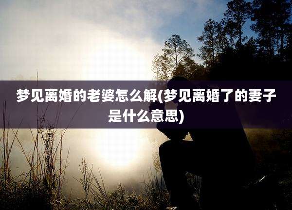 梦见离婚的老婆怎么解(梦见离婚了的妻子是什么意思)