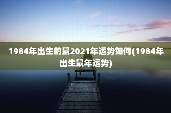 1984年出生的鼠2021年运势如何(1984年出生鼠年运势)