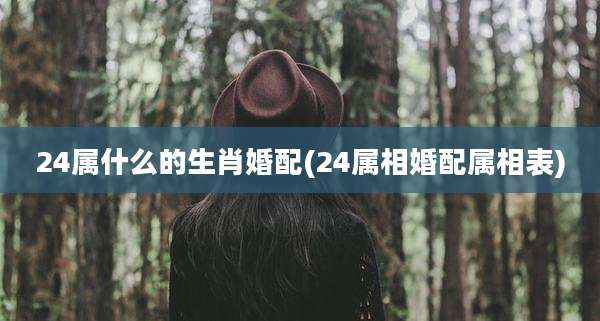 24属什么的生肖婚配(24属相婚配属相表)
