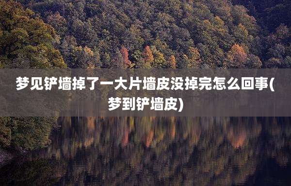 梦见铲墙掉了一大片墙皮没掉完怎么回事(梦到铲墙皮)