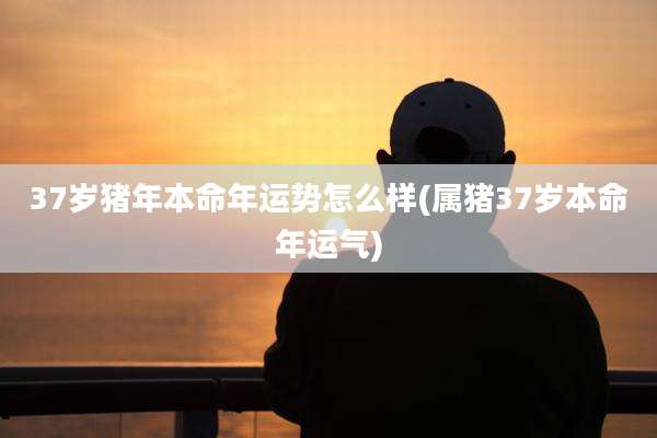 37岁猪年本命年运势怎么样(属猪37岁本命年运气)