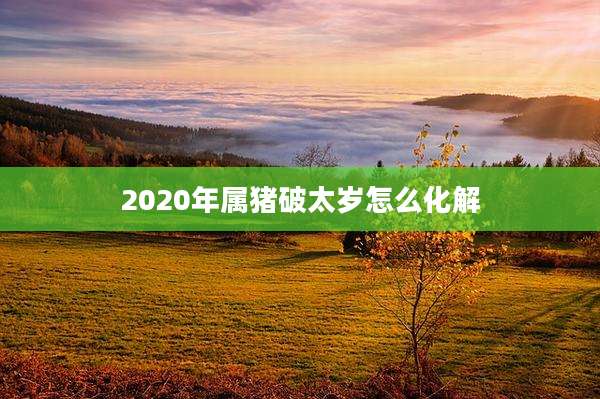 2020年属猪破太岁怎么化解