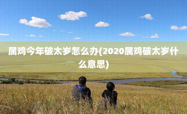 属鸡今年破太岁怎么办(2020属鸡破太岁什么意思)
