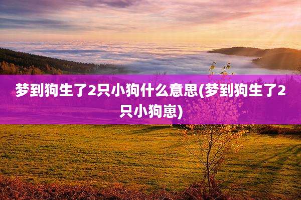 梦到狗生了2只小狗什么意思(梦到狗生了2只小狗崽)