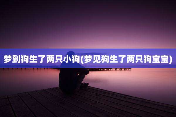 梦到狗生了两只小狗(梦见狗生了两只狗宝宝)