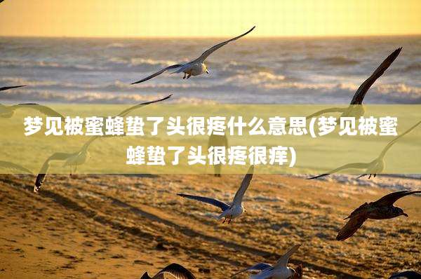 梦见被蜜蜂蛰了头很疼什么意思(梦见被蜜蜂蛰了头很疼很痒)