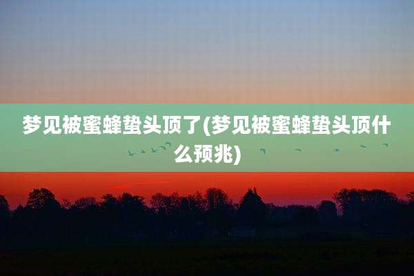 梦见被蜜蜂蛰头顶了(梦见被蜜蜂蛰头顶什么预兆)