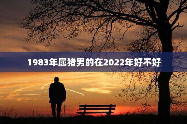 1983年属猪男的在2022年好不好