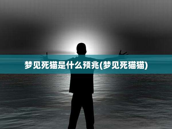 梦见死猫是什么预兆(梦见死猫猫)