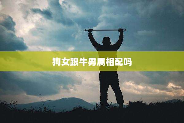 狗女跟牛男属相配吗