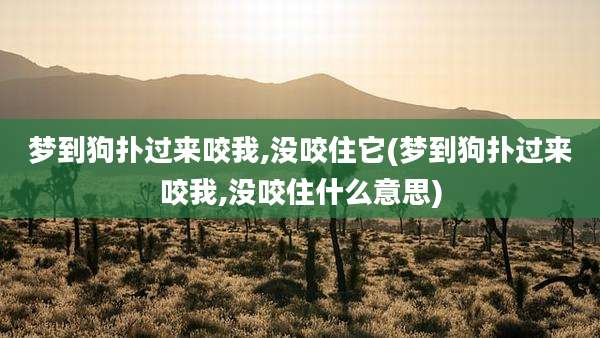 梦到狗扑过来咬我,没咬住它(梦到狗扑过来咬我,没咬住什么意思)