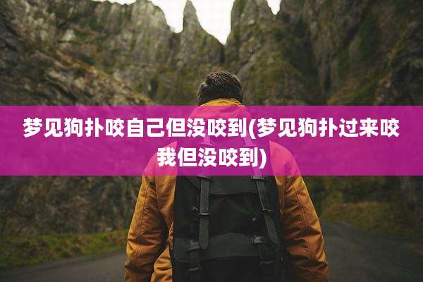 梦见狗扑咬自己但没咬到(梦见狗扑过来咬我但没咬到)