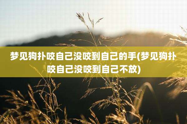 梦见狗扑咬自己没咬到自己的手(梦见狗扑咬自己没咬到自己不放)