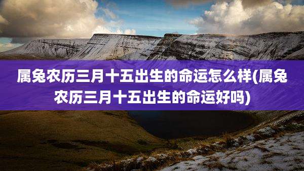 属兔农历三月十五出生的命运怎么样(属兔农历三月十五出生的命运好吗)