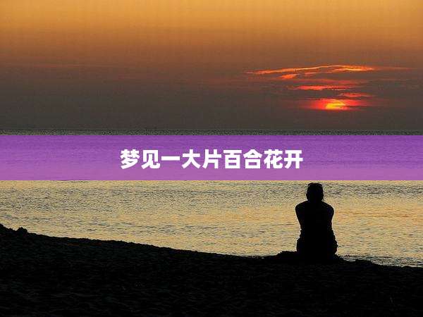 梦见一大片百合花开