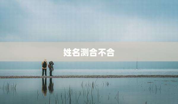 姓名测合不合