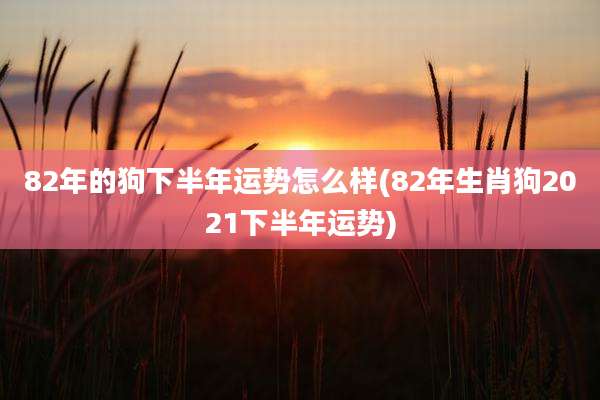 82年的狗下半年运势怎么样(82年生肖狗2021下半年运势)