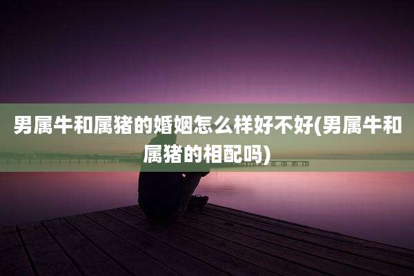 男属牛和属猪的婚姻怎么样好不好(男属牛和属猪的相配吗)