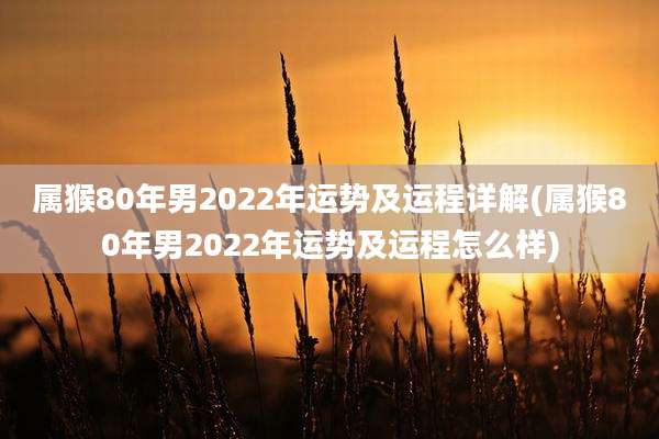 属猴80年男2022年运势及运程详解(属猴80年男2022年运势及运程怎么样)