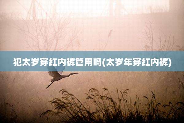 犯太岁穿红内裤管用吗(太岁年穿红内裤)