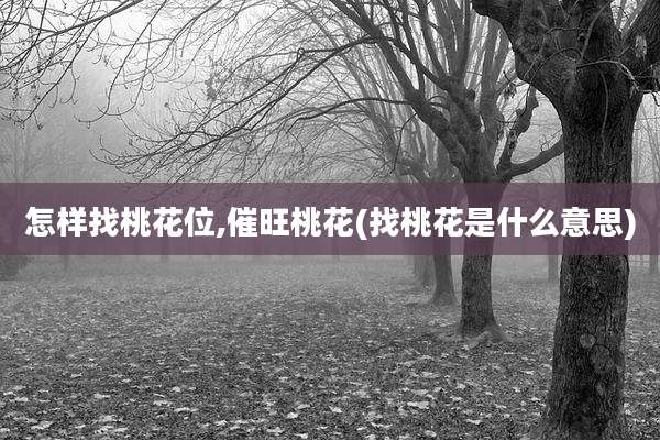 怎样找桃花位,催旺桃花(找桃花是什么意思)