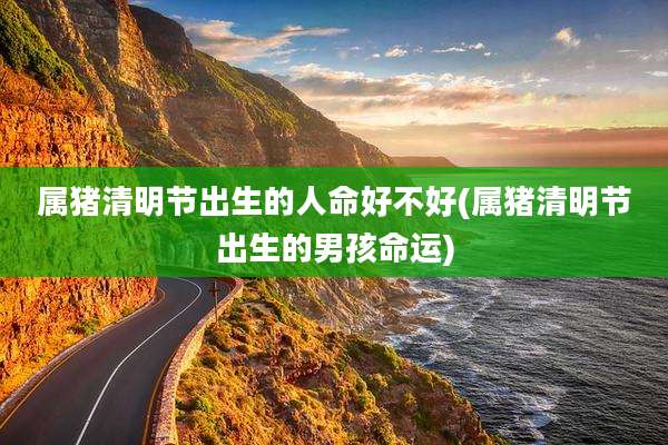 属猪清明节出生的人命好不好(属猪清明节出生的男孩命运)
