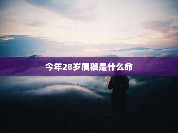 今年28岁属猴是什么命