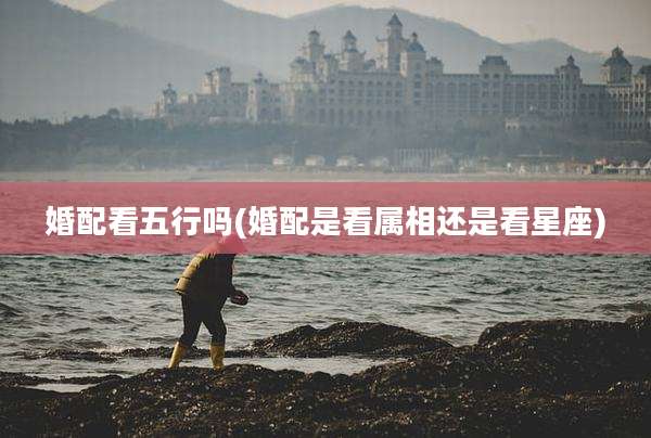婚配看五行吗(婚配是看属相还是看星座)