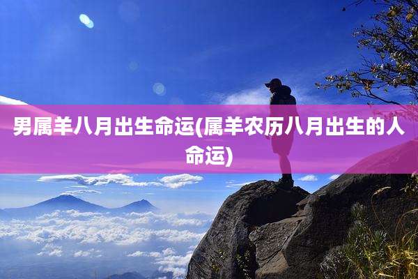 男属羊八月出生命运(属羊农历八月出生的人命运)