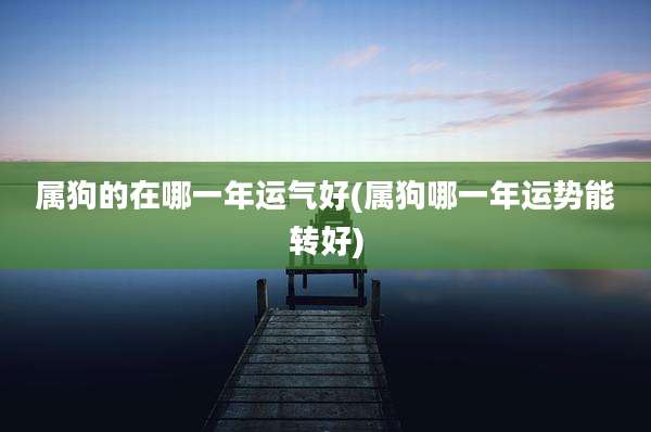 属狗的在哪一年运气好(属狗哪一年运势能转好)