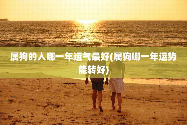 属狗的人哪一年运气最好(属狗哪一年运势能转好)